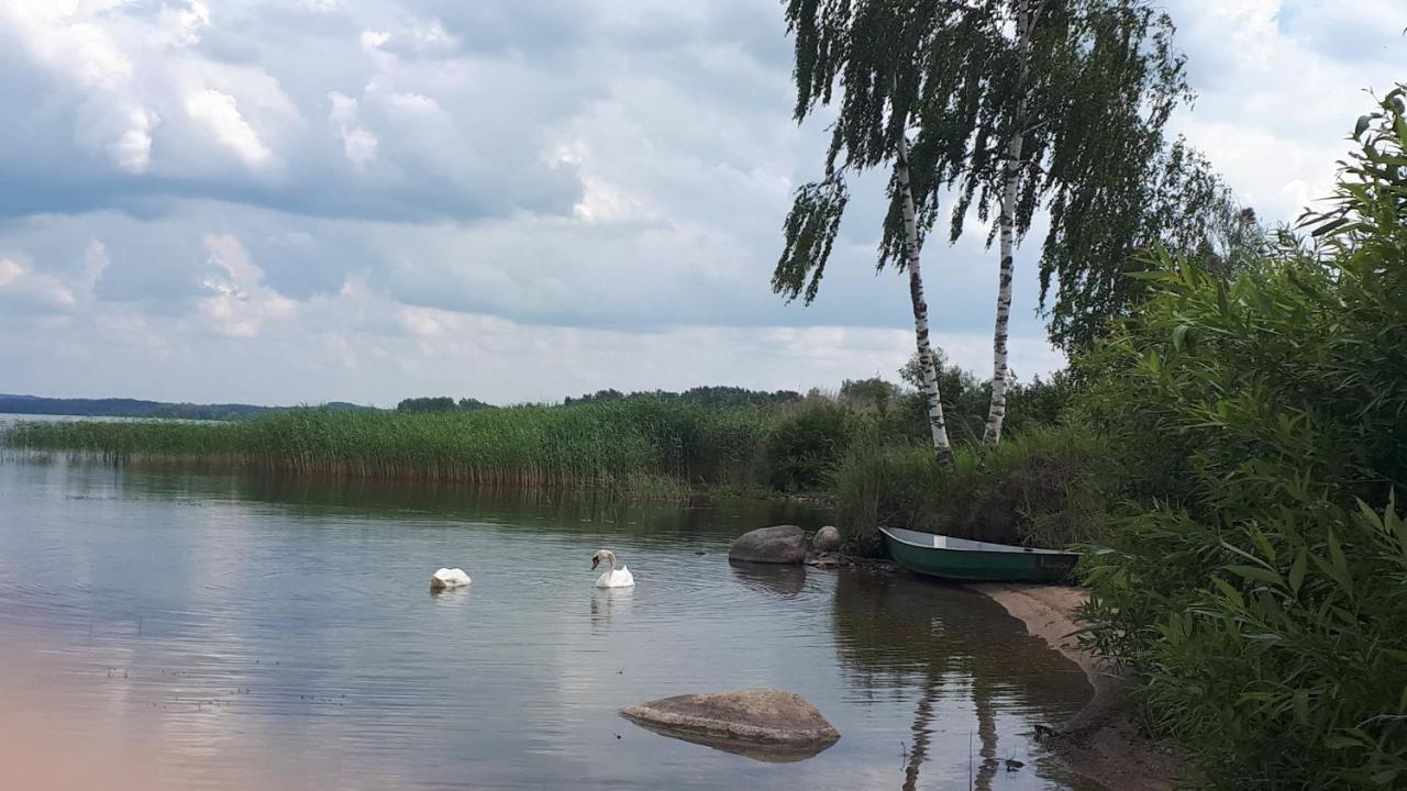 Viesu Maja "Osmany" Hotel Dvarci Buitenkant foto